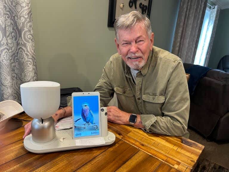 Illustration of intelligent gerontechnology ecosystem for accessible living